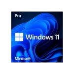 Windows 11 Pro OEM license digital download for one PC